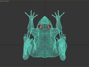 frog 3D Model