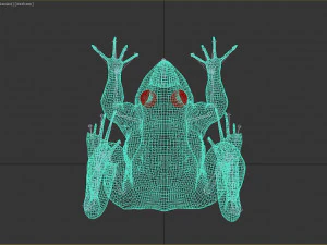 frog 3D Model