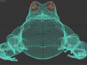 frog 3D Model
