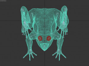 frog 3D Model