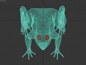 frog 3D Model