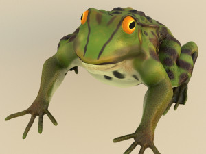 frog 3D Model