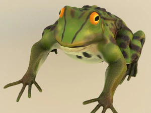 frog 3D Model