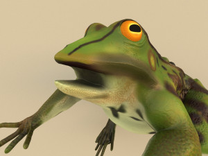 frog 3D Model