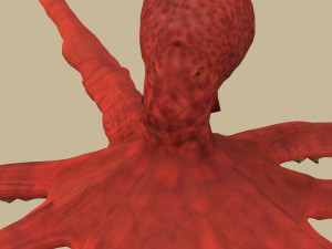 octopus 3D 模型