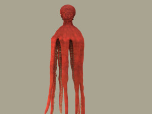 octopus 3D 模型