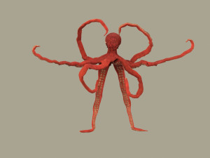 octopus 3D 模型