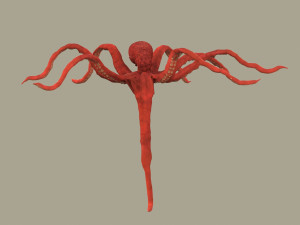 octopus 3D 模型