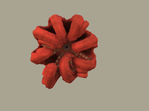 octopus 3D 模型