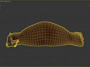 belt 3D Model