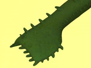 トリトン 3Dモデル