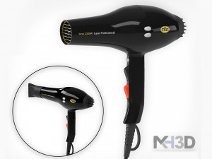 promax hair dryer Model 3D