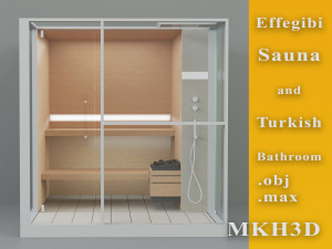 effegibi sauna and turkish bathroom 3D Model