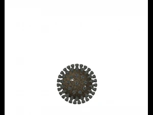 COVID-19 Modello 3D