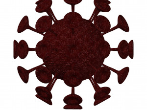 coronavirus covid19 3D Model