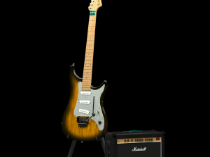 fender guitar and amplifier 3D मॉडल