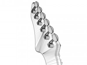 fender guitar and amplifier 3D Модель