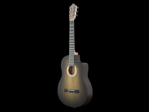 classic guitar collection 3D Модель