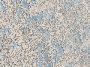 stucco wall pbr materials texture scan data texture texture CG Textures