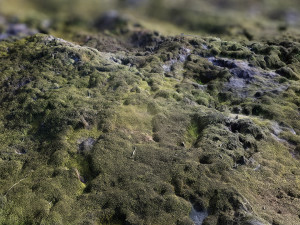 mossy rock pbr materials texture scan data texture Texturas CG