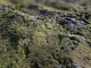 textura de materiais pbr de rocha musgosa digitaliza&ccedil;&atilde;o de dados de textura Texturas CG