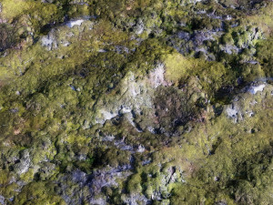 mossy rock pbr materials texture scan data texture Texturas CG
