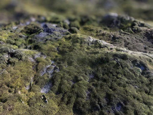 textura de materiais pbr de rocha musgosa digitaliza&ccedil;&atilde;o de dados de textura Texturas CG