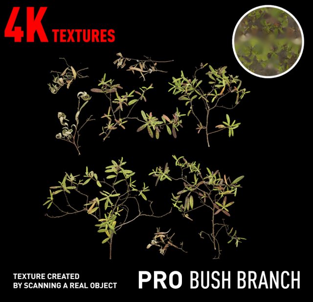 bush branch 4k professional textures CG 纹理 .c4d .max .obj .3ds .fbx .stl .blend
