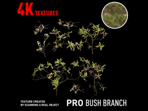 bush branch 4k professional textures CG 텍스쳐