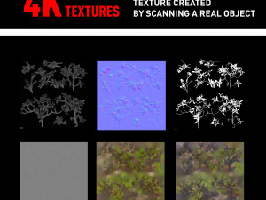bush branch 4k professional textures CG 纹理