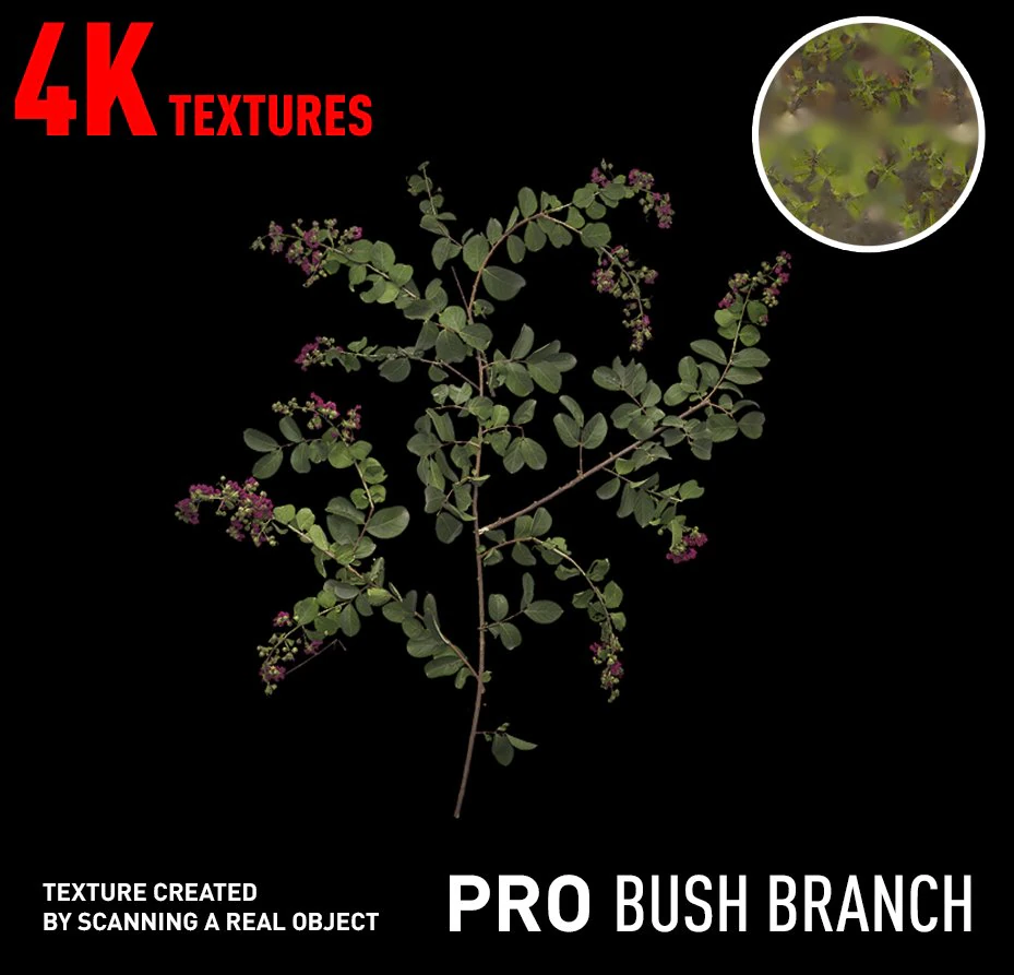 bush branch 4k professional textures CG Textures .c4d .max .obj .3ds .fbx .stl .blend 