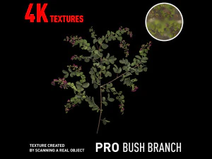 gałąź krzewu 4k profesjonalnych tekstur CG Tekstury