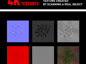 bush branch 4k professional textures Texturas CG