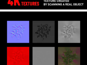 bush branch 4k professional textures CG Textures
