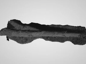 wood log 8k professional textures CG Textures