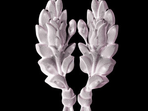dekore ornament 04 Modèle 3D