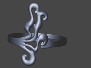 Ring Model 3D