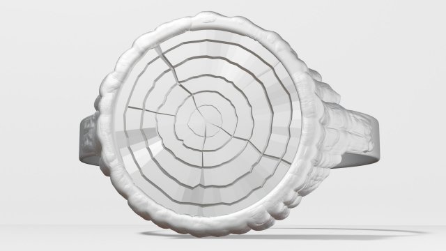 Ring 3D print model Model 3D .c4d .max .obj .3ds .fbx .stl .blend 