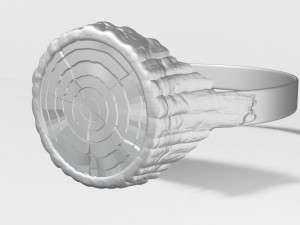 Ring 3D print model Model 3D