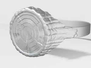 Modelo de impresi&oacute;n 3D del anillo Modelo 3D