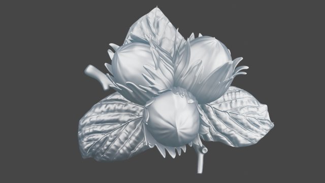Brooch Nuts Modelo 3D .c4d .max .obj .3ds .fbx .stl .blend 
