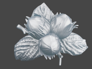 Brooch Nuts 3D Model