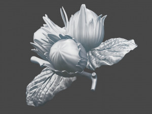 Brooch Nuts Modelo 3D