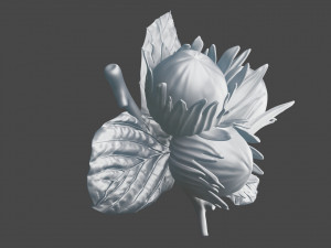 Brooch Nuts Modelo 3D