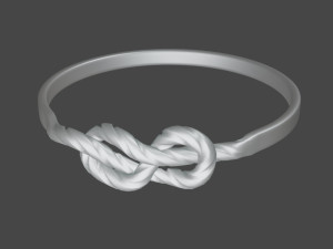 Ring Node 3d print model 3D प्रिंट मॉडल