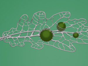 Pendant Oak 3d print model 3D Print Model
