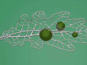 펜던트 오크 3d 프린트 모델 3D 프린트 모델