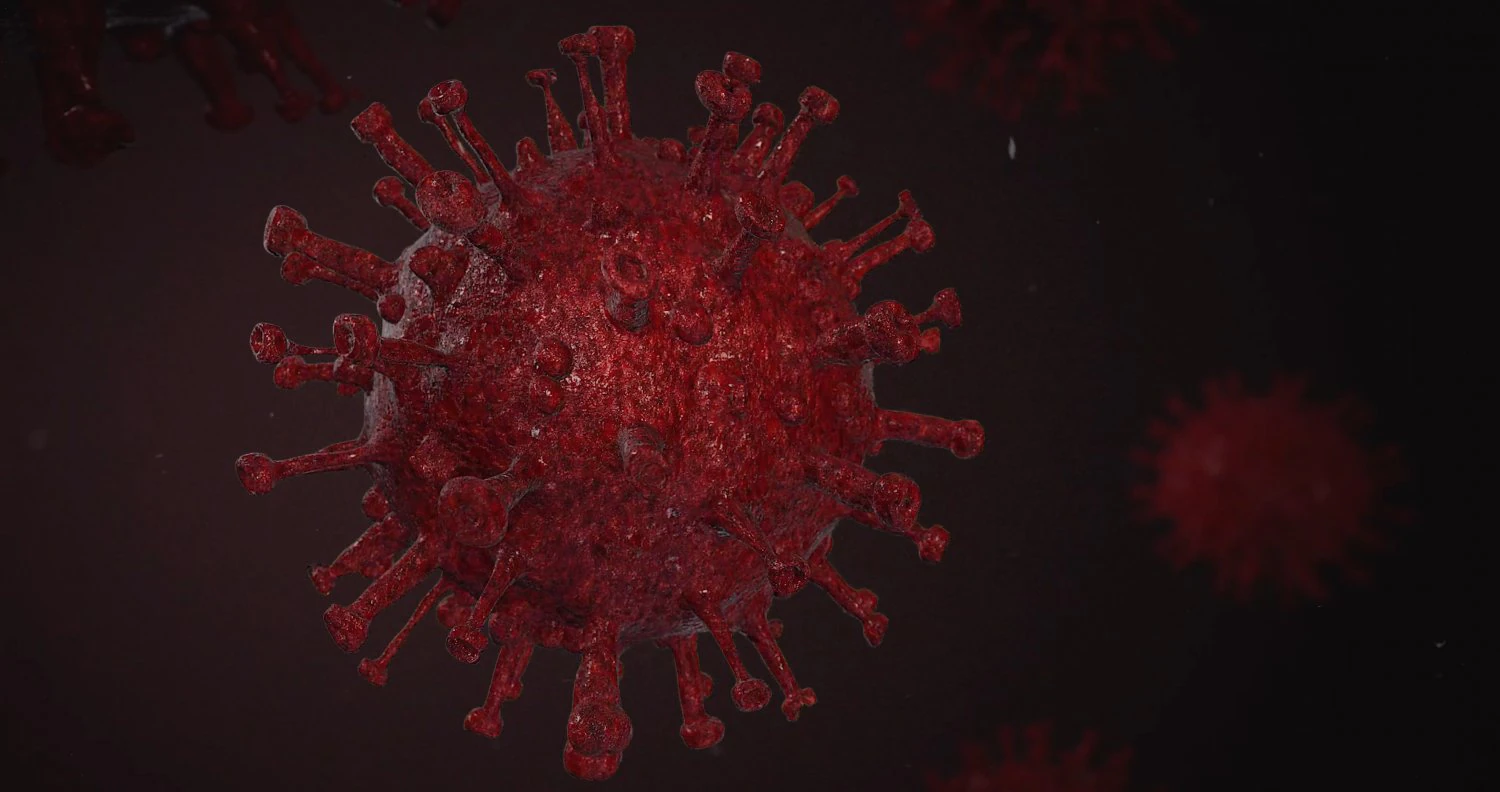 covid-19 3D Model .c4d .max .obj .3ds .fbx .stl .blend 