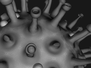 covid-19 3D Model