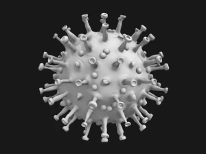 covid-19 3D Model